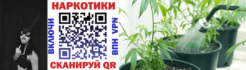 Где купить Кукмор ГАШИШ Амфетамин A-PVP Меф Псилоцибиновые грибы COCAIN